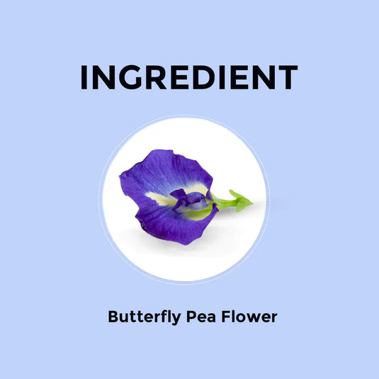 Butterfly Pea Herbal Infusion Sampler Packs - 6 Flavors
