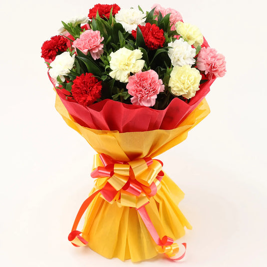 FNP- 15 Mixed Carnations Bouquet- Medium