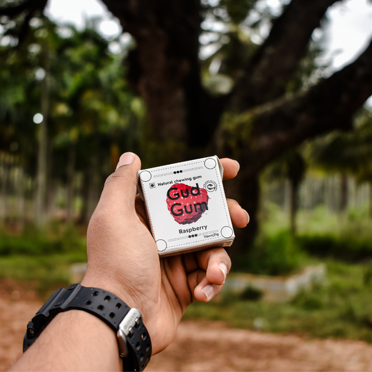 Gud Gum Mini Pack - Plastic-Free, Sugar-Free, Natural, Biodegradable, Vegan Chewing Gum. 1 Pack per Flavor, 15 Pellets per Pack, 21g