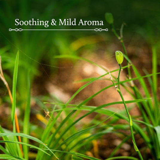 Shubhr Steam Distilled Vetiver Toner & Face Tonic Mist (Alcohol & Preservative Free)