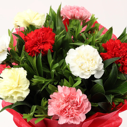 FNP- 8 Mixed Carnations Bouquet- Small