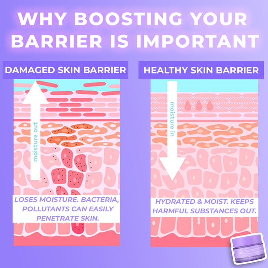 Hydrating Day Cream | 5% Squalane | 2% Niacinamide (50g)