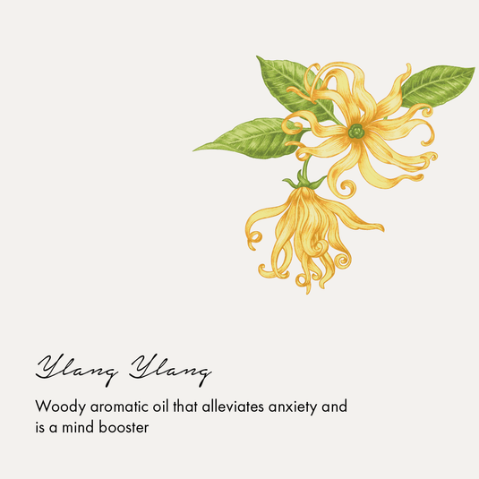 Ylang Ylang for anxiety
