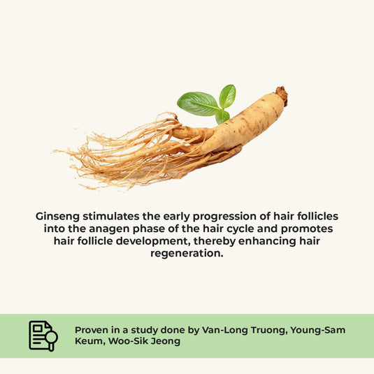 Hair Growth Oil - Potent Actives like Ceramides, Vitamin C & 16 Botanical Oils (Jaborandi, Gotu Kola & more) a mixture of champi with potent actives