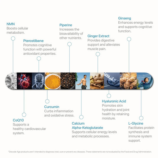 LongeVit™ | DA¹ Foundational Longevity Blend - Decode Age