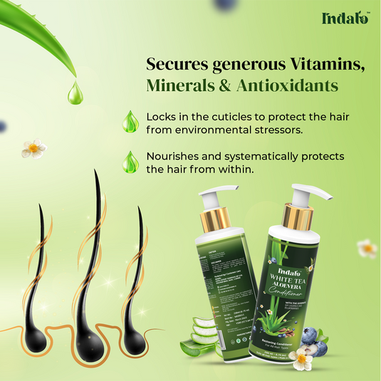 Indalo Combo For Oily Hair With White Tea Aloe Vera Shampoo & Conditioner
