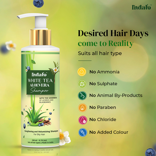 Indalo Combo For Oily Hair With White Tea Aloe Vera Shampoo & Conditioner
