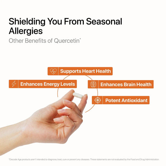 Quercetin Dihydrate |Sophora Japonica L. Extract - Decode Age