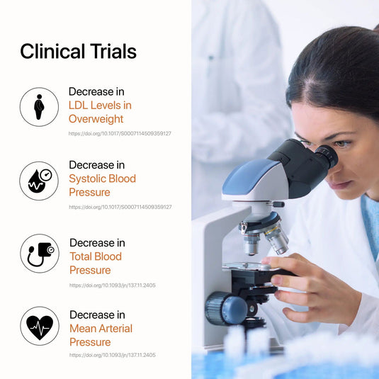 Quercetin Dihydrate |Sophora Japonica L. Extract - Decode Age