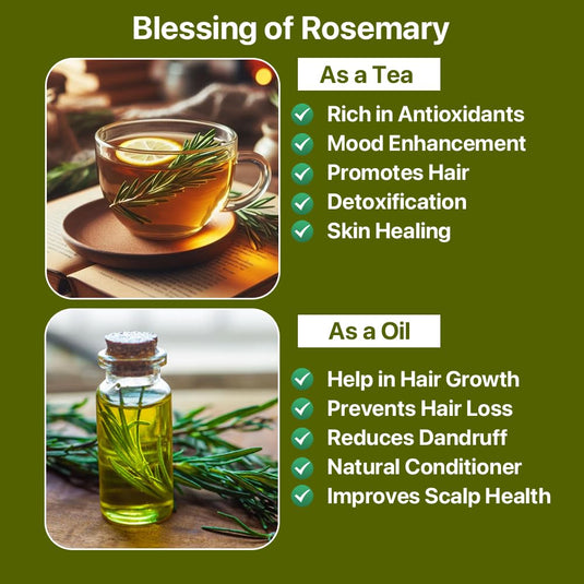 Rosemary Herbal Infusion - 200g | For Healthy Hair