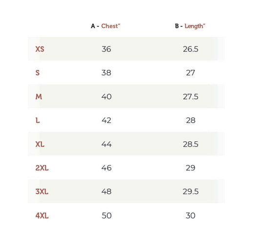 J Crew Men’s T-Shirt - 100% Supima Cotton