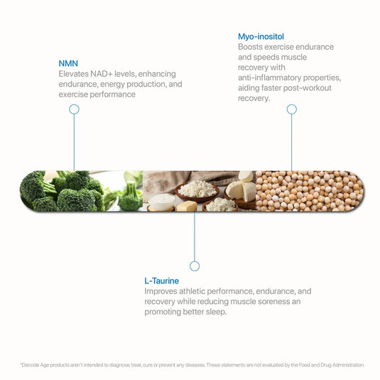 SportVit™ | Caffeine Free, Pre-Workout - Decode Age