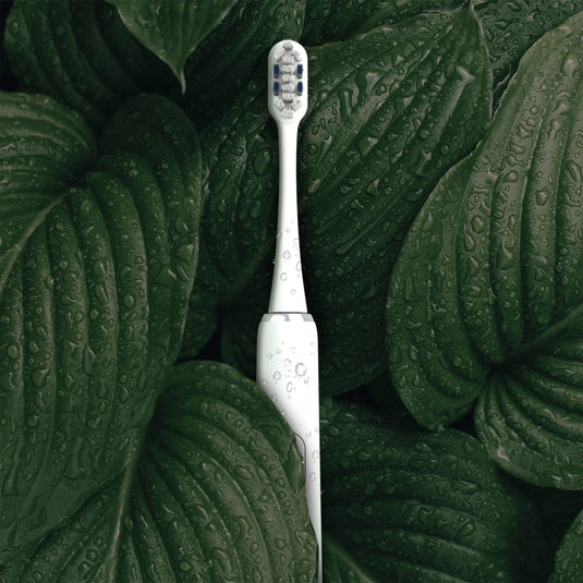 electric brush for adult