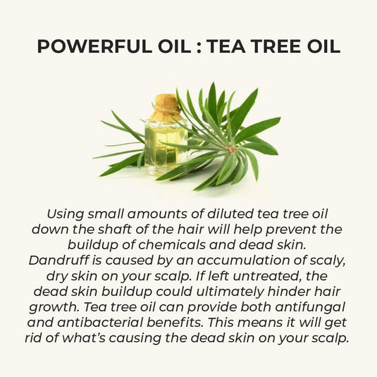 Hair Growth Oil - Potent Actives like Ceramides, Vitamin C & 16 Botanical Oils (Jaborandi, Gotu Kola & more) a mixture of champi with potent actives