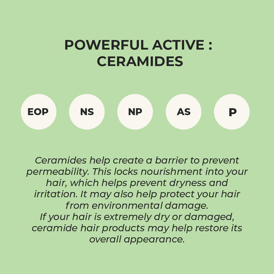 Hair Growth Oil - Potent Actives like Ceramides, Vitamin C & 16 Botanical Oils (Jaborandi, Gotu Kola & more) a mixture of champi with potent actives