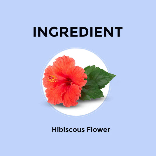 Hibiscus Herbal Infusion Sampler Packs - 6 Flavors