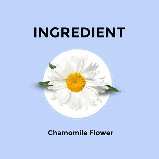 Chamomile Herbal Infusion Sampler Packs - 6 Flavors