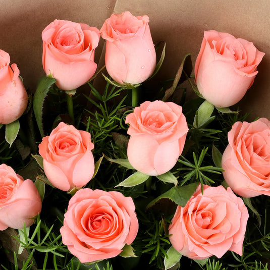 FNP- 10 Pink Roses In Brown Paper