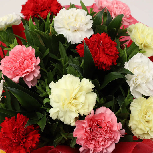FNP- 15 Mixed Carnations Bouquet- Medium