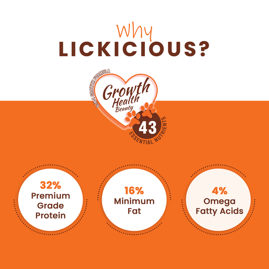 LICKICIOUS™ Dry Kitten Food