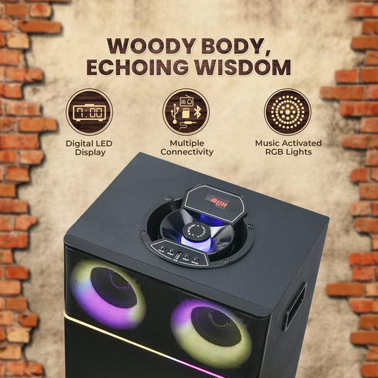 GIZMORE Trolley T4000 WOODY BASS 80 W Bluetooth Party Speaker