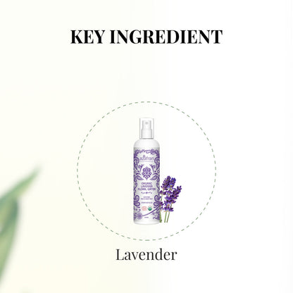 Organic Lavender Floral Water