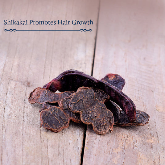  Shikakai for Dry Frizzy Hair