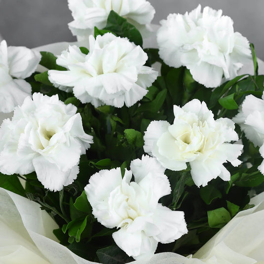FNP- 8 White Carnations Flower Bouquet - Small