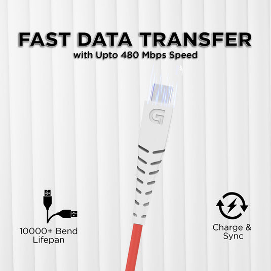 GIZMORE WDC155 Type C 65W Fast Charging Cable