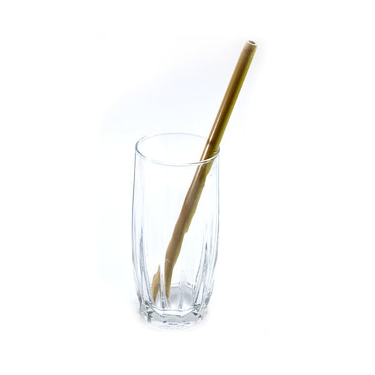 Bamboo Natural Straws (pack of 4) with cleaner