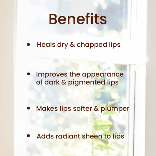 Shubhr Lip Balm & Gloss with goodness of Ghee for Dry & Chapped lips