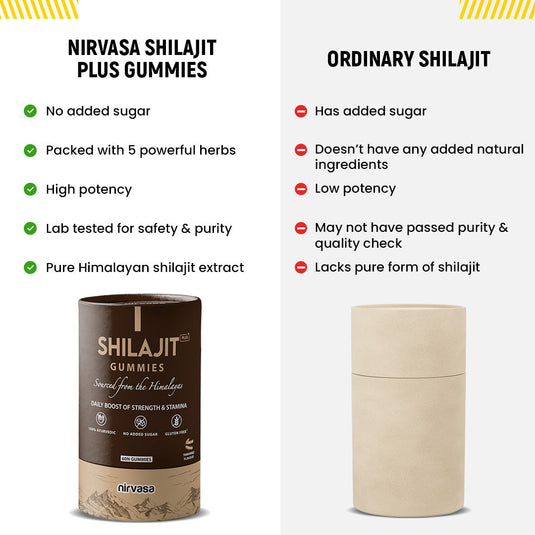 Shilajit Plus Gummies (60 Gummies)