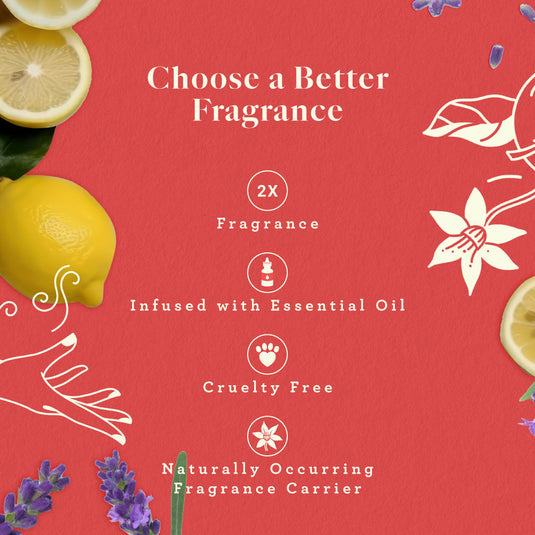 Adeha Fragrance Pouch - Air freshener for Bathroom, Car, Wardrobe - Dancing Dawn