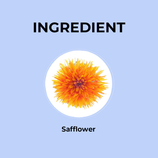 Safflower Herbal Infusion - 20g | Pack of 2