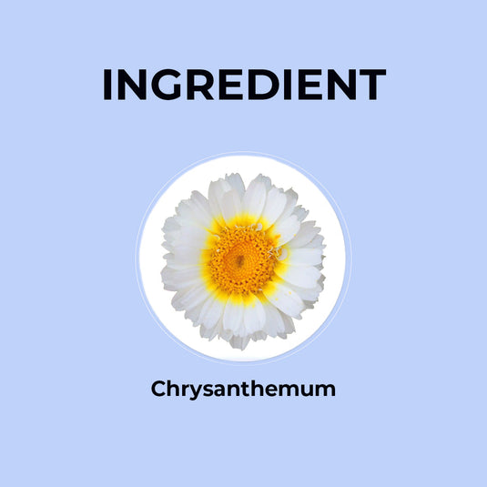 Chrysanthemum Herbal Infusion - 20g | Pack of 2