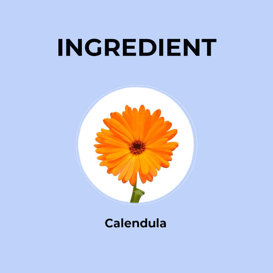 Calendula Herbal Infusion - 20g | Pack of 2