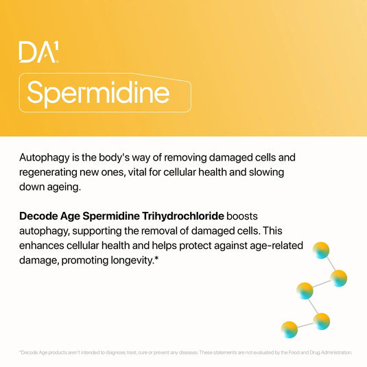 Spermidine Trihydrochloride - Decode Age