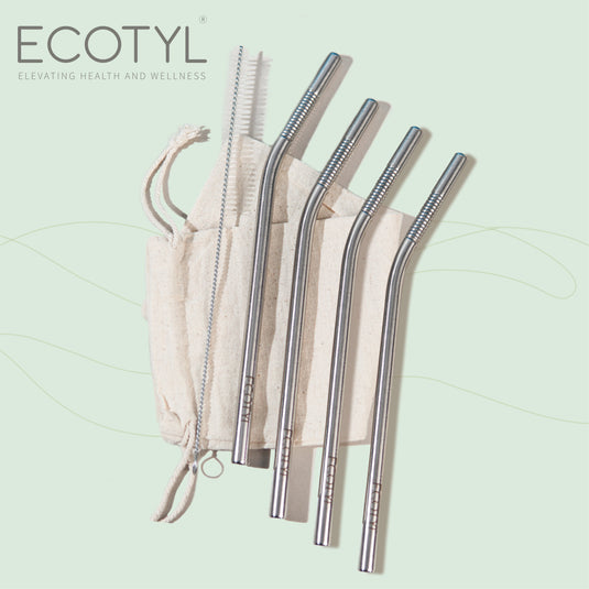 Stainless Steel Straw (Set of 4) + Cleaning Brush