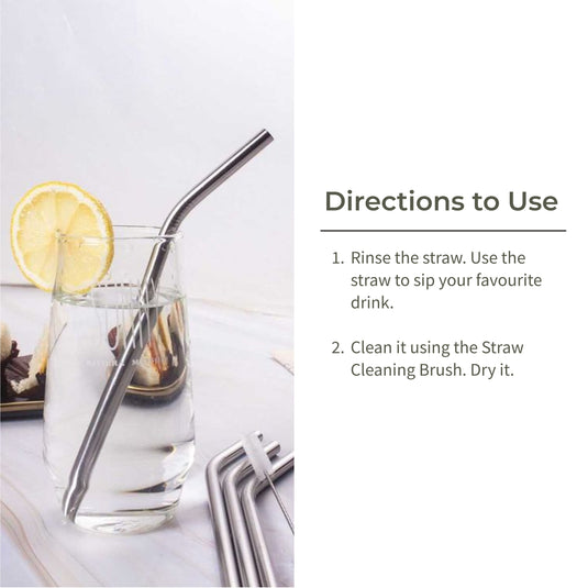 Stainless Steel Straw (Set of 4) + Cleaning Brush