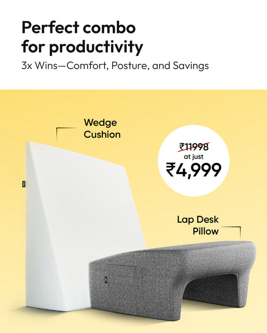 Lap Desk + Wedge Cushion