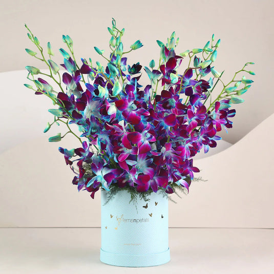 FNP- Blooming Blue Orchids In FNP Signature Box