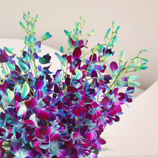 FNP- Blooming Blue Orchids In FNP Signature Box