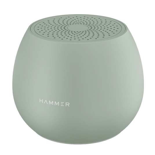 Dual Pairing Bluetooth Speakers