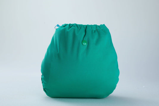 Diaper Cover (Blue Green) + 1 Wet free Insert