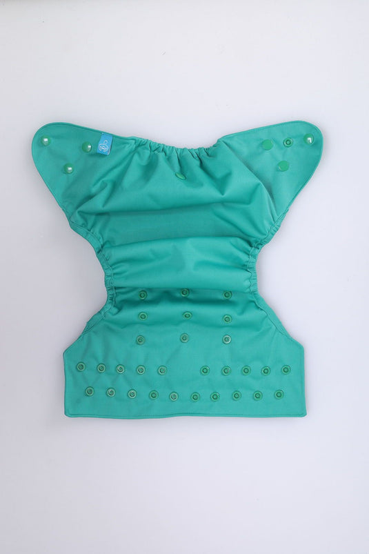 Diaper Cover (Blue Green) + 1 Wet free Insert