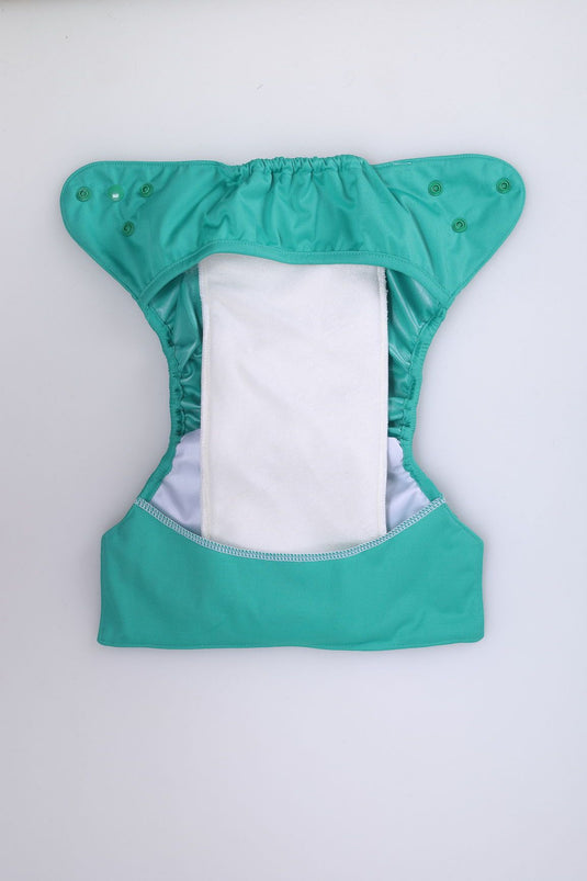 Diaper Cover (Blue Green) + 1 Wet free Insert