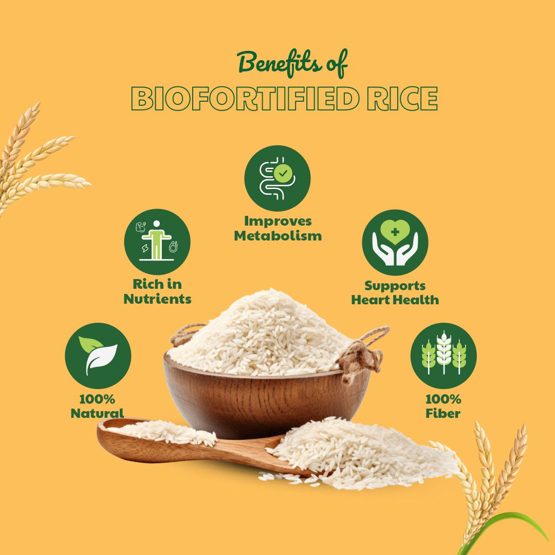 Biofortified Rice