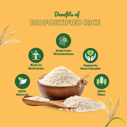 Biofortified Rice