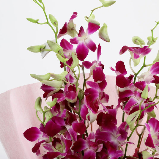 FNP- Splendid 6 Purple Orchids Bouquet